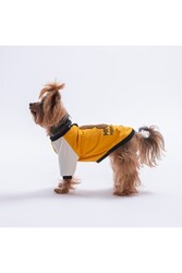 Pawstar Mustard-Hardal Baby Teddy Sweat Kedi Köpek Sweati - Kedi Köpek Kıyafeti XL - Thumbnail