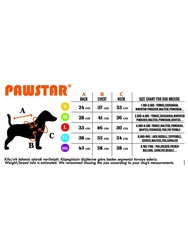 Pawstar Neon Fuşya Railway Anorak Yelek Köpek Yeleği Köpek Kıyafeti XL Köpek Yağmurluk - Thumbnail