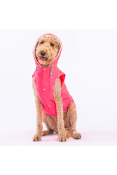 Pawstar Neon Fuşya Railway Orta ve Büyük Irklar İçin Anorak Köpek Yeleği Köpek Kıyafeti Köpek Yağmurluk - 4XL - Thumbnail