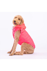 Pawstar Neon Fuşya Railway Orta ve Büyük Irklar İçin Anorak Köpek Yeleği Köpek Kıyafeti Köpek Yağmurluk - 5XL - Thumbnail