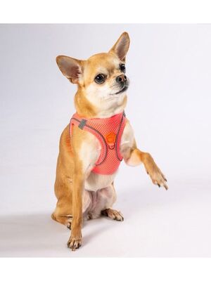 Pawstar - Pawstar Neon Pembe Air-mesh Göğüs Tasması Kedi Köpek Göğüs Tasması 2XS
