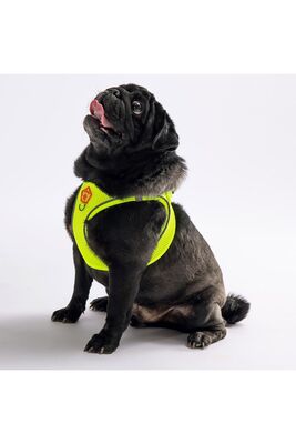 Pawstar - Pawstar Neon Sarı Air-mesh Göğüs Tasması Kedi Köpek Göğüs Tasması 2XS