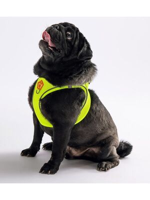 Pawstar - Pawstar Neon Sarı Air-mesh Göğüs Tasması Kedi Köpek Göğüs Tasması