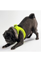 Pawstar Neon Sarı Air-mesh Göğüs Tasması Kedi Köpek Göğüs Tasması XL - Thumbnail