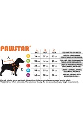 Pawstar New Year Slogan Küçük ve Orta Irk Köpek Kapşonlu Sweati Köpek Kıyafeti - 2XL - Thumbnail