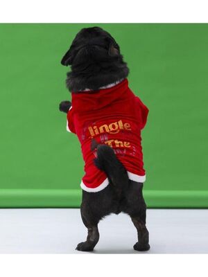 Pawstar - Pawstar New Year Slogan Küçük ve Orta Irk Köpek Kapşonlu Sweati Köpek Kıyafeti - 2XL