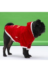 Pawstar New Year Slogan Küçük ve Orta Irk Köpek Kapşonlu Sweati Köpek Kıyafeti - M - Thumbnail