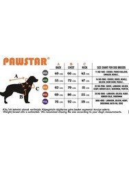 Pawstar Ottawa Büyük Irk Köpek Mont Köpek Yağmurluk Köpek Kıyafeti Köpek Elbisesi 4XL - Thumbnail