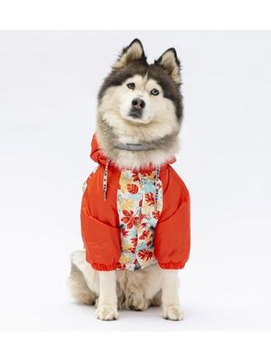 Pawstar - Pawstar Ottawa Büyük Irk Köpek Mont Köpek Yağmurluk Köpek Kıyafeti Köpek Elbisesi 7XL