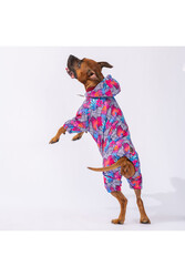 Pawstar Palmatum Orta-Büyük Irk Köpek Tulum Köpek Yağmurluk Köpek Elbisesi Köpek Kıyafeti 3XL - Thumbnail