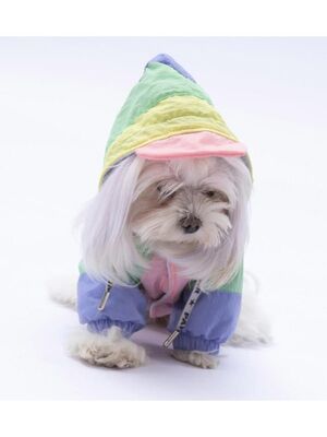 Pawstar - Pawstar Pastel Kauai Köpek Mont Köpek Yağmurluk Köpek Kıyafeti Köpek Elbisesi L