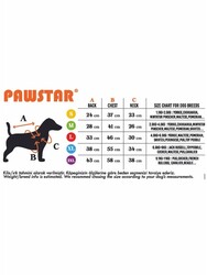 Pawstar Pastel Kauai Köpek Mont Köpek Yağmurluk Köpek Kıyafeti Köpek Elbisesi L - Thumbnail