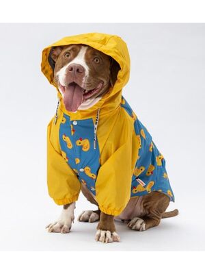 Pawstar - Pawstar Pekin Büyük Irk Köpek Tulum Yağmurluğu Köpek Yağmurluk Köpek Kıyafeti Köpek Elbisesi 3XL