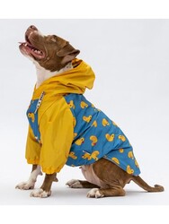 Pawstar Pekin Büyük Irk Köpek Tulum Yağmurluğu Köpek Yağmurluk Köpek Kıyafeti Köpek Elbisesi 7XL - Thumbnail