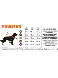 Pawstar Pekin Büyük Irk Köpek Tulum Yağmurluğu Köpek Yağmurluk Köpek Kıyafeti Köpek Elbisesi 7XL - Thumbnail