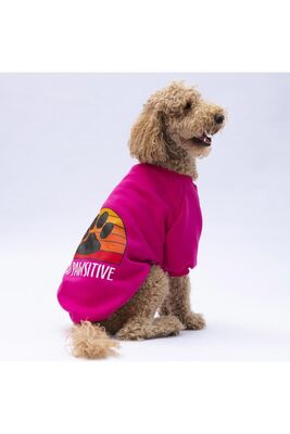 Pawstar - Pawstar Pembe Carmel Büyük Irk Köpek Sweat Köpek Kıyafeti 3XL