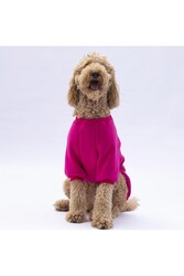 Pawstar Pembe Carmel Büyük Irk Köpek Sweat Köpek Kıyafeti 3XL - Thumbnail