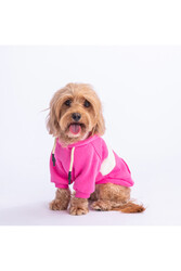 Pawstar Pembe Cute Köpek Hoodie Köpek Sweat Köpek Kıyafeti Kedi Kıyafeti -XL - Thumbnail