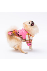 Pawstar Pembe Plaid e Pelle Kedi Köpek Ceketi Kedi Köpek Kıyafeti Kedi Köpek Elbisesi - XL - Thumbnail