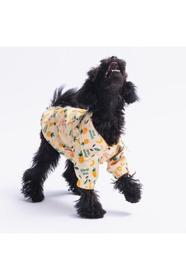 Pawstar - Pawstar Pineapple Kedi Köpek Gömleği - Kedi Köpek Kıyafeti 2XL