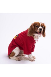 Pawstar Pineapple Polo Yaka Kedi Köpek T-shirt - Kedi Köpek Kıyafeti M - Thumbnail