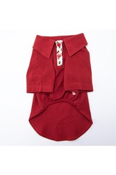 Pawstar Pineapple Polo Yaka Kedi Köpek T-shirt - Kedi Köpek Kıyafeti M - Thumbnail