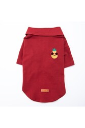 Pawstar Pineapple Polo Yaka Kedi Köpek T-shirt - Kedi Köpek Kıyafeti XL - Thumbnail