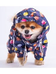 Pawstar Planetfood Polarlı Köpek Tulum Yağmurluğu Köpek Yağmurluk Köpek Kıyafeti Köpek Elbisesi L - Thumbnail
