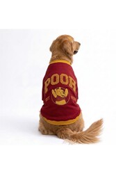 Pawstar Pooh Honey Winnie Orta-Büyük Irk için Köpek Sweatshirt Köpek Sweat Köpek Kıyafeti 4XL - Thumbnail