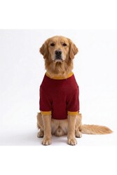 Pawstar Pooh Honey Winnie Orta-Büyük Irk için Köpek Sweatshirt Köpek Sweat Köpek Kıyafeti 4XL - Thumbnail