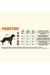 Pawstar Pooh Honey Winnie Orta-Büyük Irk için Köpek Sweatshirt Köpek Sweat Köpek Kıyafeti 4XL - Thumbnail