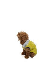 Pawstar Puff Sarı Küçük Köpek Montu S - Thumbnail