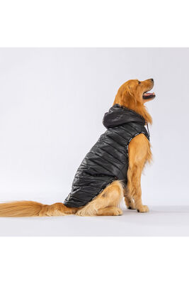 Pawstar - Pawstar Railway Orta ve Büyük Irklar İçin Anorak Yelek Köpek Yeleği Köpek Kıyafeti Köpek Yağmurluk 5XL