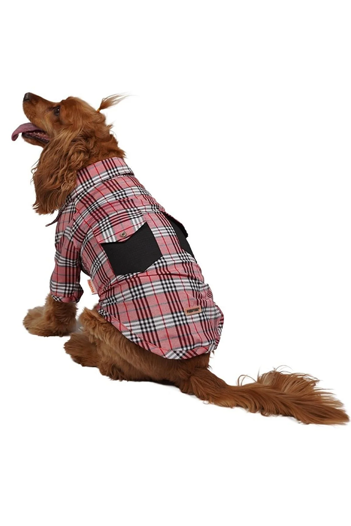 Pawstar - Pawstar Red Plaid Kırmızı Ekose Kedi Köpek Gömleği Kedi Köpek Kıyafeti - S