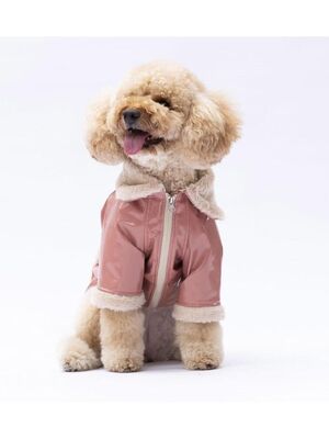 Pawstar - Pawstar Rose Vegas Ceket Kedi Köpek Ceketi Kedi Köpek Kıyafeti Kedi Köpek Elbisesi L