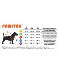 Pawstar Rose Vegas Ceket Kedi Köpek Ceketi Kedi Köpek Kıyafeti Kedi Köpek Elbisesi XL - Thumbnail