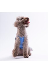 Pawstar Ruby Slice Denim Karpuz Desenli Kot Kedi Köpek Elbisesi - Kedi Köpek Kıyafeti S - Thumbnail
