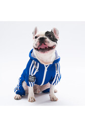 Pawstar Saks iTuta Küçük Irk Köpek Tulumu Köpek Kıyafeti Köpek Eşofmanı Kedi Kıyafeti XL - Thumbnail