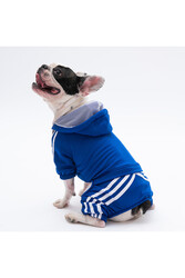 Pawstar Saks iTuta Küçük Irk Köpek Tulumu Köpek Kıyafeti Köpek Eşofmanı Kedi Kıyafeti XL - Thumbnail