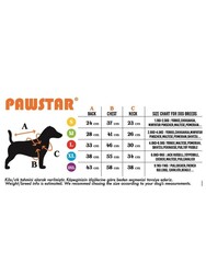 Pawstar Sarı Gingham Kapşonlu Kedi Köpek Tişörtü Kedi Köpek Kıyafeti S - Thumbnail
