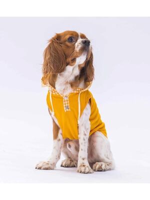 Pawstar - Pawstar Sarı Gingham Kapşonlu Kedi Köpek Tişörtü Kedi Köpek Kıyafeti XL
