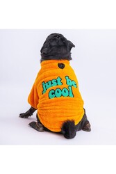 Pawstar Sarı Just Köpek Sweati Köpek Kıyafeti Kedi Kıyafeti L - Thumbnail