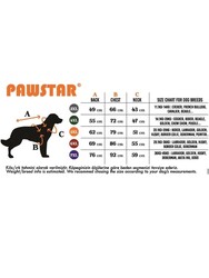 Pawstar Sarı Monster Kedi Köpek Ceketi Kedi Köpek Kıyafeti Kedi Köpek Elbisesi M - Thumbnail