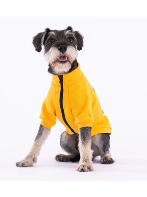 Pawstar - Pawstar Sarı Monster Kedi Köpek Ceketi Kedi Köpek Kıyafeti Kedi Köpek Elbisesi XL
