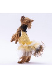 Pawstar Sarı Polka-Dot Kedi Köpek Elbisesi - Kedi Köpek Kıyafeti XL - Thumbnail