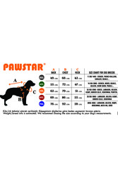 Pawstar Sarı Railway Orta ve Büyük Irklar İçin Anorak Yelek Köpek Yeleği Köpek Kıyafeti Köpek Yağmurluk - 5XL - Thumbnail