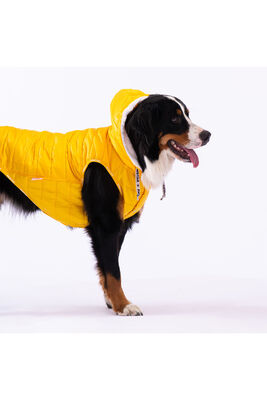 Pawstar - Pawstar Sarı Railway Orta ve Büyük Irklar İçin Anorak Yelek Köpek Yeleği Köpek Kıyafeti Köpek Yağmurluk - 3XL