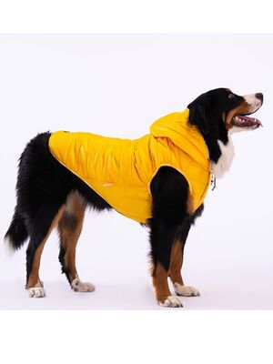 Pawstar - Pawstar Sarı Railway Orta ve Büyük Irklar İçin Anorak Yelek Köpek Yeleği Köpek Kıyafeti Köpek Yağmurluk - 3XL