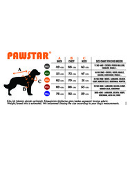 Pawstar Sarı Railway Orta ve Büyük Irklar İçin Anorak Yelek Köpek Yeleği Köpek Kıyafeti Köpek Yağmurluk - 3XL - Thumbnail