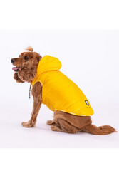 Pawstar Sarı Railway Yelek Köpek Yeleği Köpek Kıyafeti Köpek Yağmurluk - 2XL - Thumbnail